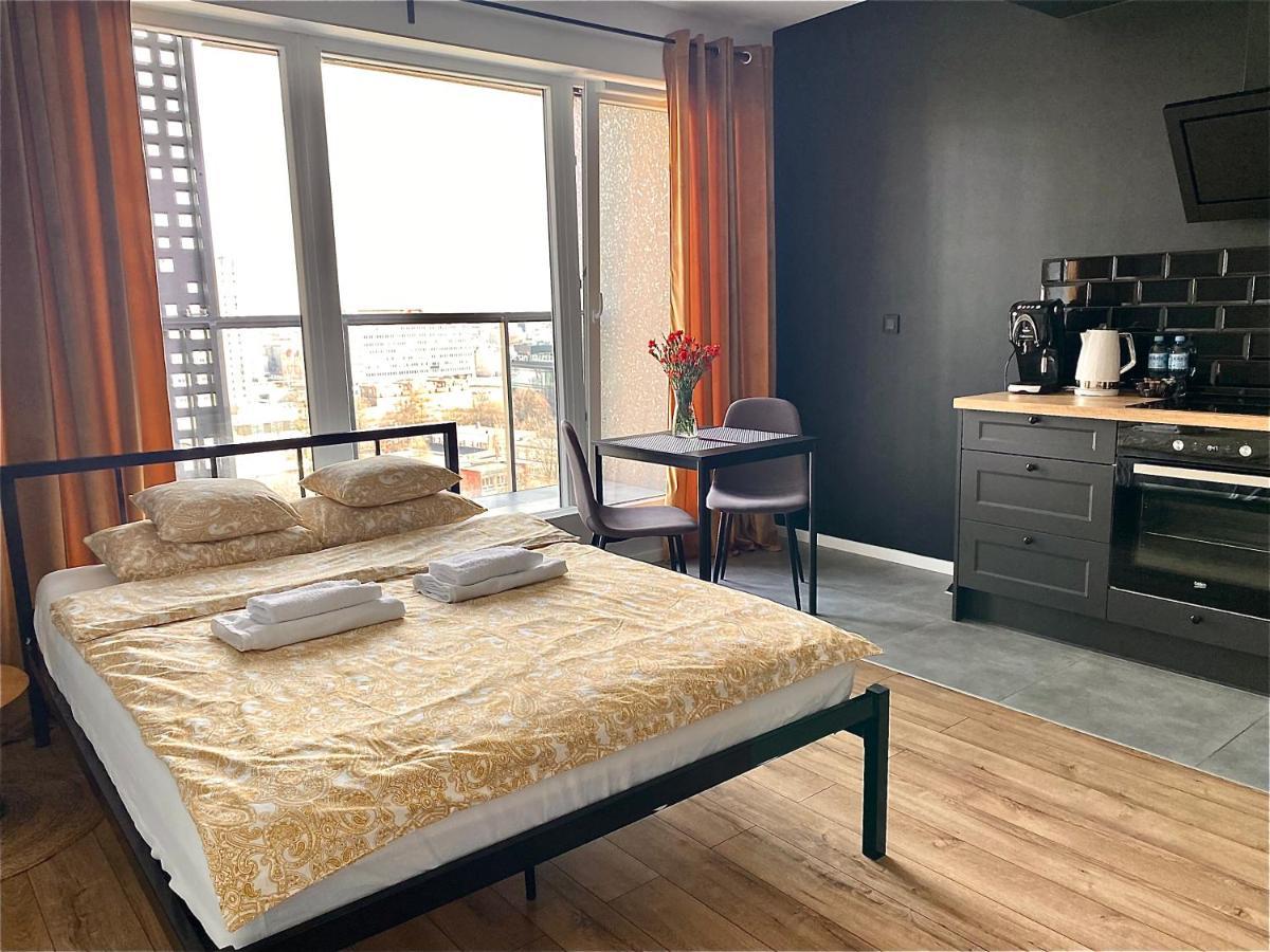 Apartament City Spa - Sokolska 30 Towers 卡托维兹 外观 照片